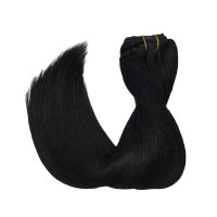 Jet Black Classic ClipIns