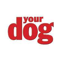 yourdog.png